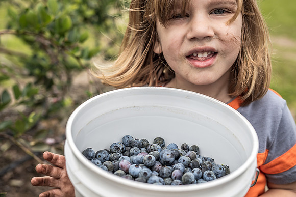 Southern_Hill_Farms-1400.jpg