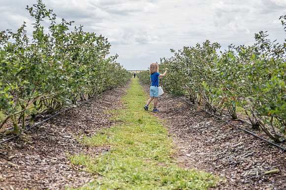 Southern_Hill_Farms-1371.jpg