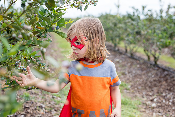 Southern_Hill_Farms-1390.jpg