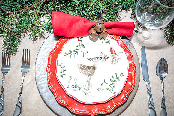 Celebration-Holiday-Home-Tour-2022_Stop4-515-Longmeadows-St-6821