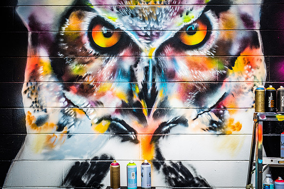 Sam-Flax-Orlando-Wall-Project-6110ric.one
