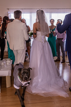 20220514-Dina-Pavel-Wedding-2859