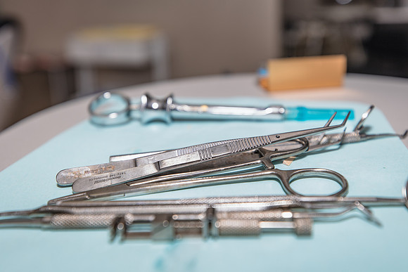 20230817-Sand-Lake-Dental-1086-
