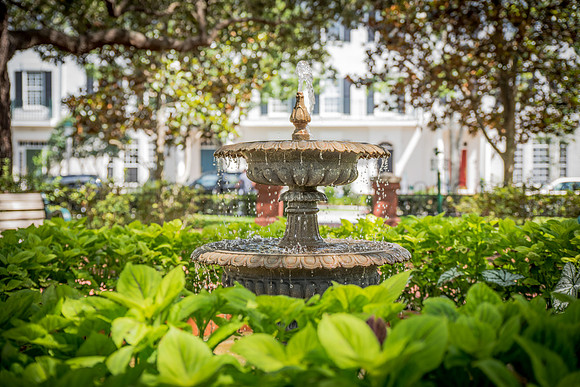 Celebration-Savannah-Square_0521-