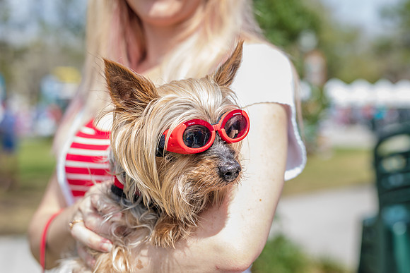 Celebration-Posh-Pooch-2261