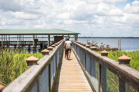 Wild Florida Airboats & Gator Park