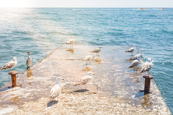 Crimea-Alushta-8673-