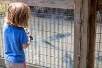Wild Florida Airboats & Gator Park