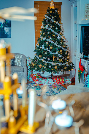 Celebration-Holiday-Home-Tour-2022_Stop2-300-Charleston-Pl-6577
