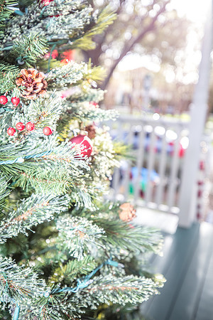 Celebration-Holiday-Home-Tour-2022_Stop4-515-Longmeadows-St-6823