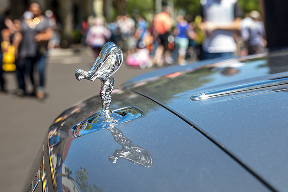 Exotic_Car_Show_2017_Celebration-1184.jpg