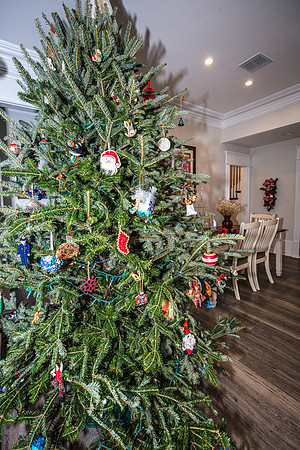 Celebration-Holiday-Home-Tour-2022_Stop4-515-Longmeadows-St-6797