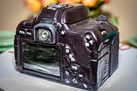Camera-Birthday-Carrot-Cake-IM-1586