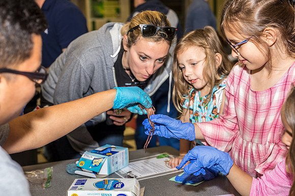 Family-Science-Night-CK8-2894