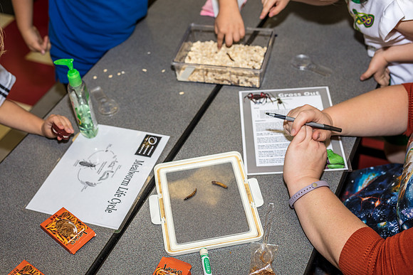 Family-Science-Night-CK8-2905