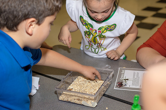 Family-Science-Night-CK8-2907