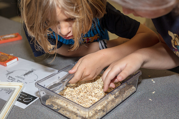 Family-Science-Night-CK8-2909