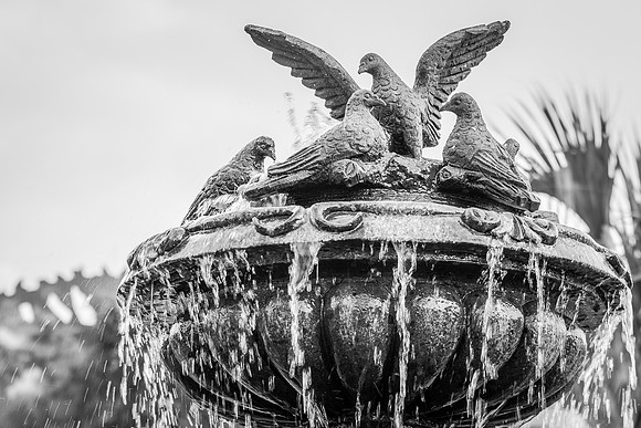 Disney-Springs-Fountain-0024.jpg