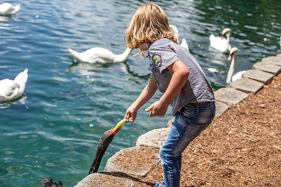 Lake-Eola-Orlando-3639.jpg