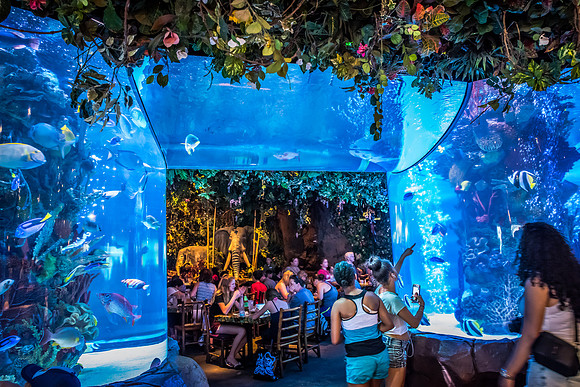 Disney-Springs-6378.jpg