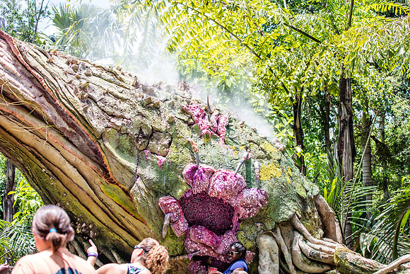 Pandora-Disney-Animal-Kingdom-2921.jpg