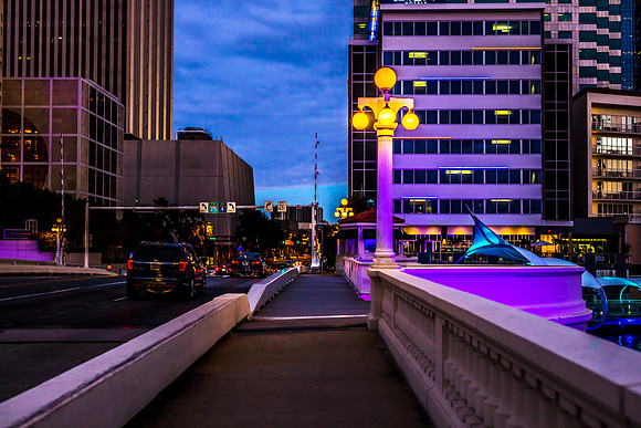 Tampa-3999