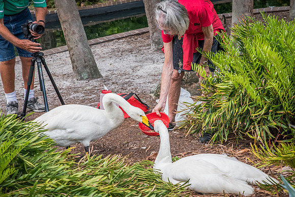 Orlando_LakeEola-4120.jpg