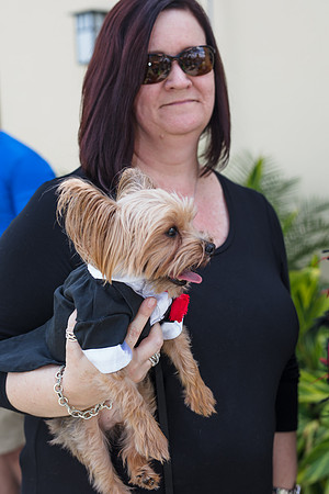 Celebration-Posh-Pooch-2357