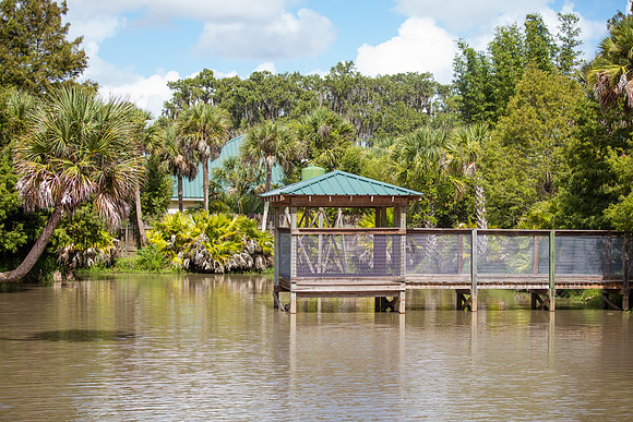 Wild Florida Airboats & Gator Park