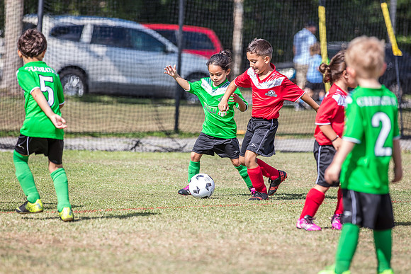 Celebration-Youth-Soccer-Spring-2018-3608