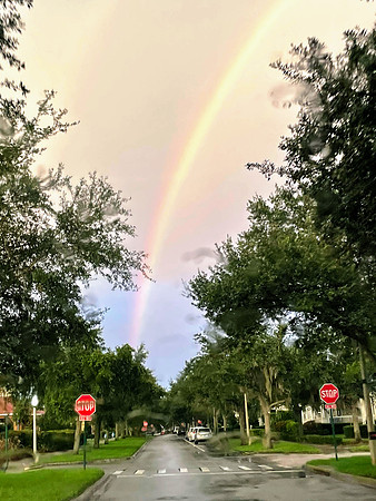 Celebration-rainbow_4748