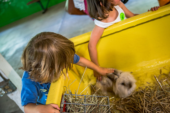 Green-Meadows-Farm-9115.jpg