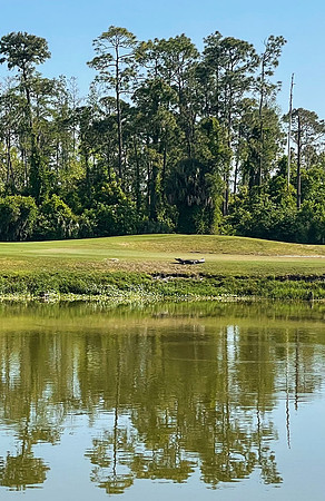 Celebration-nature-gator_7429