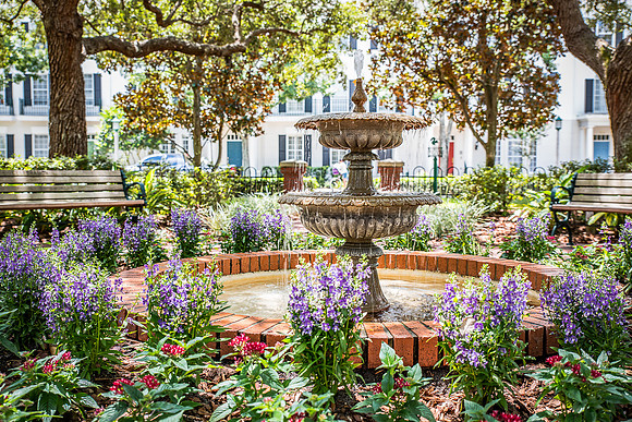 Celebration-Savannah-Square_7228