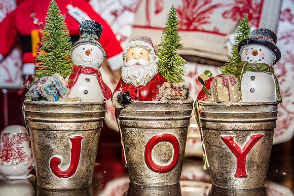 Celebration-Christmas-shop_8353