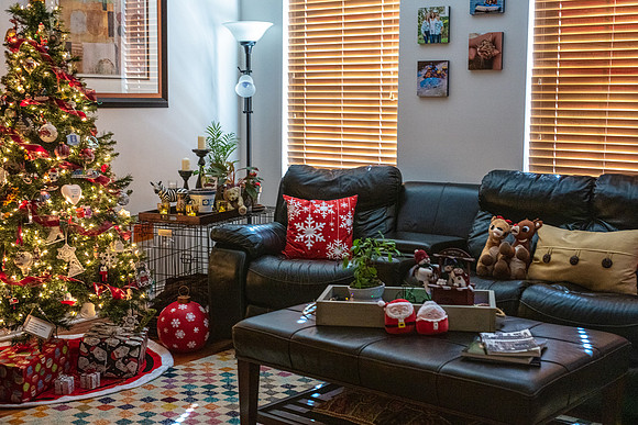 Celebration-Holiday-Home-Tour-2022_Stop2-300-Charleston-Pl-6566