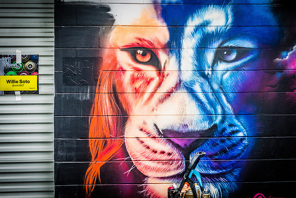 Sam-Flax-Orlando-Wall-Project-6107