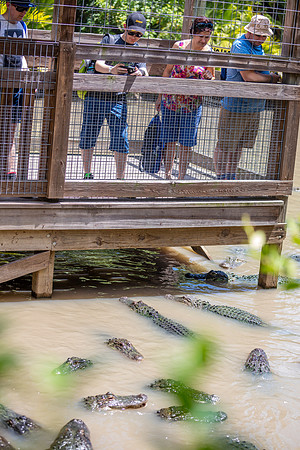 Wild Florida Airboats & Gator Park