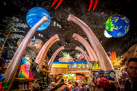 Disney-Springs-6319.jpg
