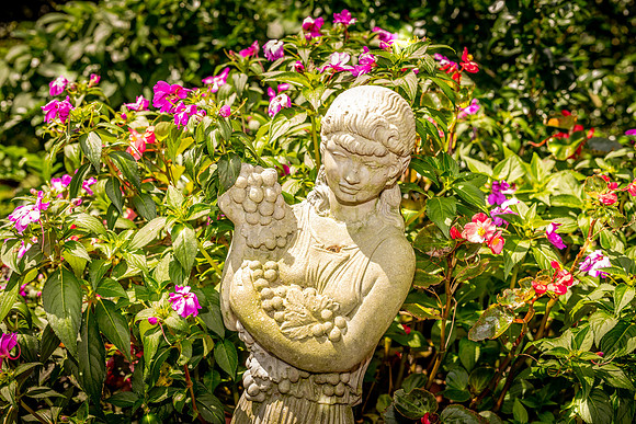 Leu Gardens Orlando
