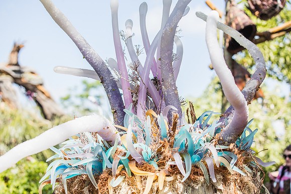 Pandora-Disney-Animal-Kingdom-2784.jpg