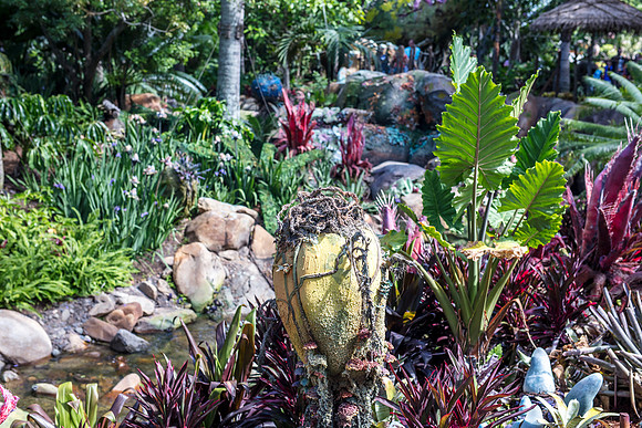 Pandora-Disney-Animal-Kingdom-2765.jpg
