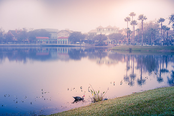 Celebration-fog-morning_9500