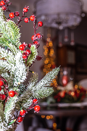Celebration-Holiday-Home-Tour-2022_Stop2-300-Charleston-Pl-6583-