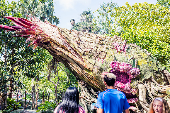 Pandora-Disney-Animal-Kingdom-2752.jpg