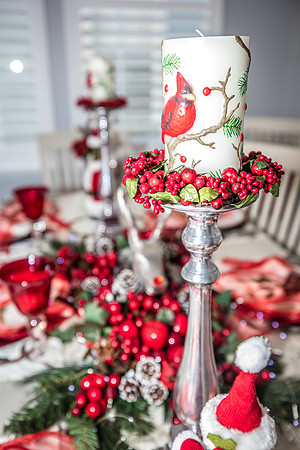 Celebration-Holiday-Home-Tour-2022_Stop6-866-Spring-Park-Loop-7198