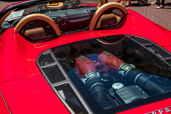 Exotic_Car_Show_2017_Celebration-1133.jpg
