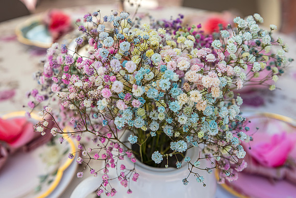 Emma-9th-Bday-Tea-Party-Marianna-5328-