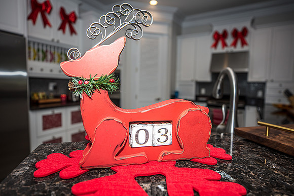 Celebration-Holiday-Home-Tour-2022_Stop4-515-Longmeadows-St-6803