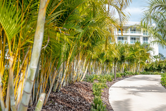 Margaritaville-Resort-Orlando-6875